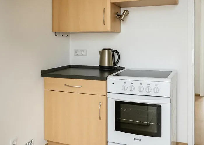 Cosy Charming Long-term Apartment
